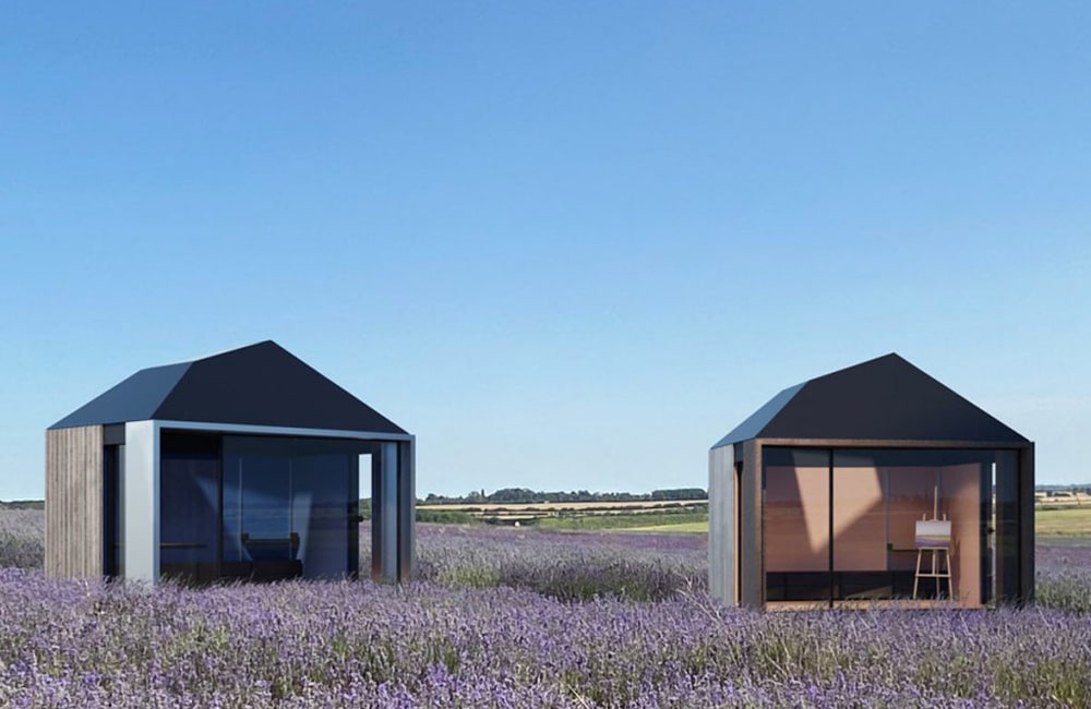 Two modern, minimalist cabins with dark roofs stand in a lavender field under a clear blue sky.