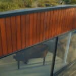 Thumbnail of http://A%20grand%20piano%20is%20visible%20through%20the%20large%20windows%20of%20a%20modern%20Grand%20Designs%20building,%20boasting%20a%20wooden%20exterior%20and%20a%20grass%20roof.